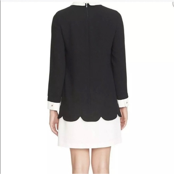 CeCe | Jada Scalloped Overlay Collared Shift Dress | Black White | size 8 - Picture 2 of 16